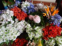 Funchal - Markthalle &ndash; &copy; Hans-Joachim Trutz (Eberhardt TRAVEL)