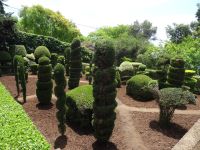 Funchal - Botanischer Garten &ndash; &copy; Hans-Joachim Trutz (Eberhardt TRAVEL)