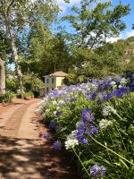 Quinta do Palheiro &ndash; &copy; Andreas Schmidt (Eberhardt TRAVEL)