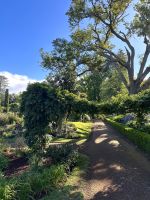 Quinta do Palheiro &ndash; &copy; Andreas Schmidt (Eberhardt TRAVEL)