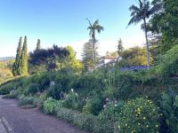 Quinta do Palheiro &ndash; &copy; Andreas Schmidt (Eberhardt TRAVEL)