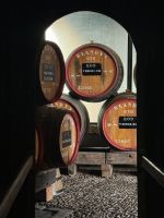Blandys Weingut (5)