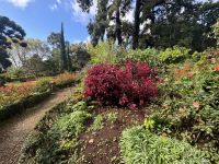 Funchal - Sao Goncalo (2) &ndash; &copy; Willi Thomas Krupp (Eberhardt TRAVEL)