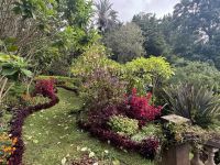 Funchal - Sao Goncalo (7) &ndash; &copy; Willi Thomas Krupp (Eberhardt TRAVEL)
