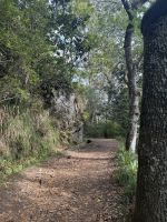 Levadawanderung bei Ribeiro Frio (7) &ndash; &copy; Willi Thomas Krupp (Eberhardt TRAVEL)