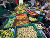 Markthalle in Funchal (4) &ndash; &copy; Willi Thomas Krupp (Eberhardt TRAVEL)