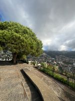 Miradouro do Pico dos Barcelos (2) &ndash; &copy; Willi Thomas Krupp (Eberhardt TRAVEL)