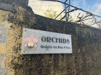 Orchideengarten in Funchal (2) &ndash; &copy; Willi Thomas Krupp (Eberhardt TRAVEL)