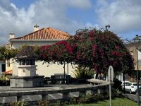 Santana (2) &ndash; &copy; Willi Thomas Krupp (Eberhardt TRAVEL)