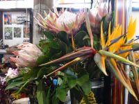 Funchal, Markthalle &ndash; &copy; Hans-Joachim Trutz (Eberhardt TRAVEL)