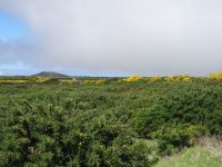 Hochebene Paul da Serra &ndash; &copy; Hans-Joachim Trutz (Eberhardt TRAVEL)