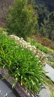 Madeira: Eira do Serrado &ndash; &copy; Inge Bily (Eberhardt TRAVEL)