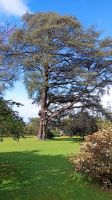 Madeira: Quinta do Palheiro: Blandys Garten: Rundgang &ndash; &copy; Inge Bily (Eberhardt TRAVEL)