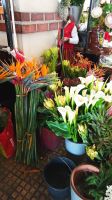 Funchal: Markthalle &ndash; &copy; Inge Bily (Eberhardt TRAVEL)