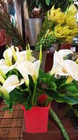 Funchal: Markthalle &ndash; &copy; Inge Bily (Eberhardt TRAVEL)