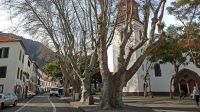 Madeira: Machico: Rundgang &ndash; &copy; Inge Bily (Eberhardt TRAVEL)
