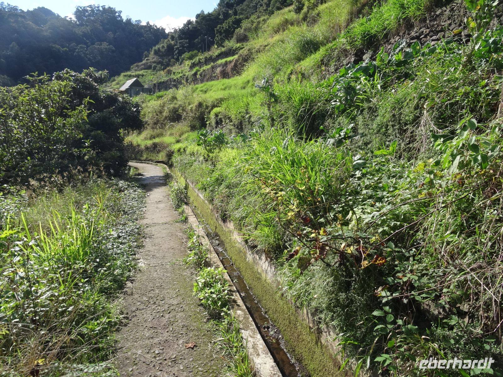 Levada Wanderung &ndash; &copy; Hans-Joachim Trutz (Eberhardt TRAVEL)