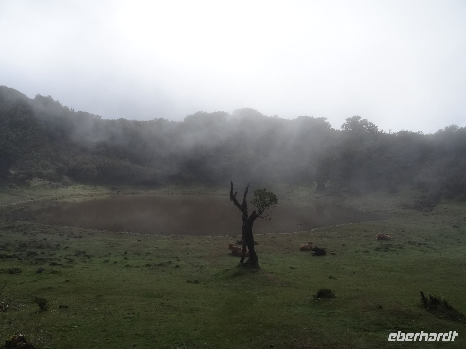 Fanal und seine Mystik &ndash; &copy; Hans-Joachim Trutz (Eberhardt TRAVEL)