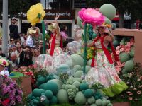 Funchal - Festumzug &ndash; &copy; Hans-Joachim Trutz (Eberhardt TRAVEL)