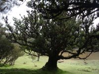 Fanal &ndash; &copy; Hans-Joachim Trutz (Eberhardt TRAVEL)