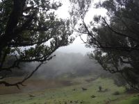 Fanal und seine Mystik &ndash; &copy; Hans-Joachim Trutz (Eberhardt TRAVEL)