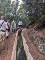 Levada dos Marocos  &ndash; &copy; Natalie Hady (Eberhardt TRAVEL)