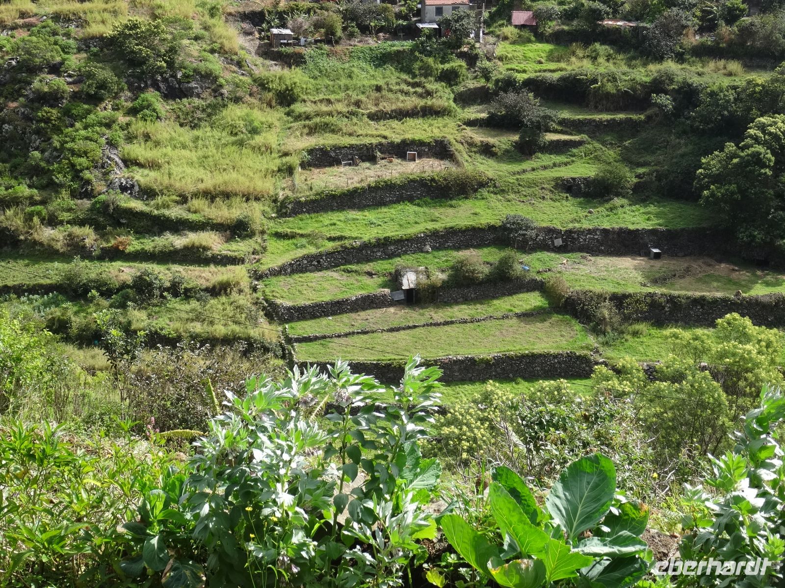 kleine Terrassenfelder entlang der Levada von Marocos &ndash; &copy; Hans-Joachim Trutz (Eberhardt TRAVEL)