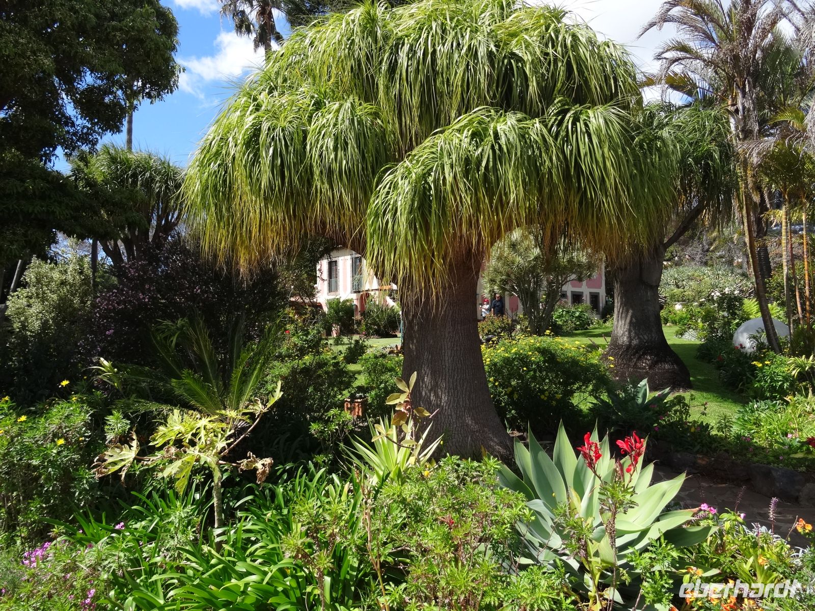 Quinta Splendida &ndash; &copy; Hans-Joachim Trutz (Eberhardt TRAVEL)