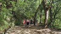 Levada - Wanderung zu den Balcoes .jpg &ndash; &copy; Steffi Lambrecht (Eberhardt TRAVEL)