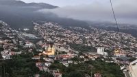 Blick auf die Stadt Funchal.jpg &ndash; &copy; Steffi Lambrecht (Eberhardt TRAVEL)