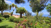 Garten Quinta Splendida.jpg