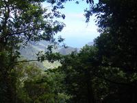 Ausblick vom 