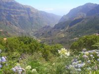 Westen Madeiras &ndash; &copy; Astrid Janke (Eberhardt TRAVEL)