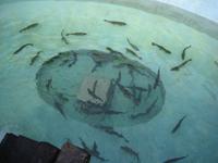 &copy; Steve Weinert (Eberhardt TRAVEL)