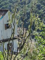 012 Wollbaum &ndash; &copy; Ngoc Anh Nguyen (Eberhardt TRAVEL)