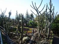 045 Botanischer Garten &ndash; &copy; Ngoc Anh Nguyen (Eberhardt TRAVEL)