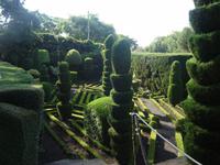 047 Botanischer Garten &ndash; &copy; Ngoc Anh Nguyen (Eberhardt TRAVEL)