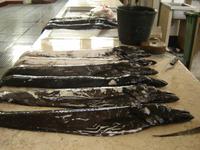 059 Schwarzer Degenfisch &ndash; &copy; Ngoc Anh Nguyen (Eberhardt TRAVEL)