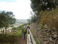 098 Levada-Wanderung &ndash; &copy; Ngoc Anh Nguyen (Eberhardt TRAVEL)