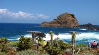 In Porto Moniz &ndash; &copy; Maria Goetz (Eberhardt TRAVEL)