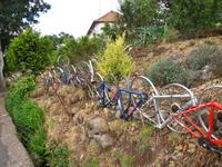 Am Wegesrand &ndash; &copy; Maria Goetz (Eberhardt TRAVEL)