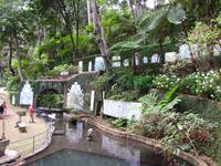 Im Tropischen Garten von Monte &ndash; &copy; Maria Goetz (Eberhardt TRAVEL)