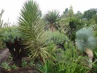 Funchal - Botanischer Garten &ndash; &copy; Hans-Joachim Trutz (Eberhardt TRAVEL)