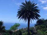 der Atlantik &ndash; &copy; Tina Bartsch (Eberhardt TRAVEL)