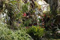 Jardim Orchidea &ndash; &copy; Detlef May (Eberhardt TRAVEL)