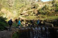 Wanderung entlang der Levada von Marocos &ndash; &copy; Gunter Looß (Eberhardt TRAVEL)