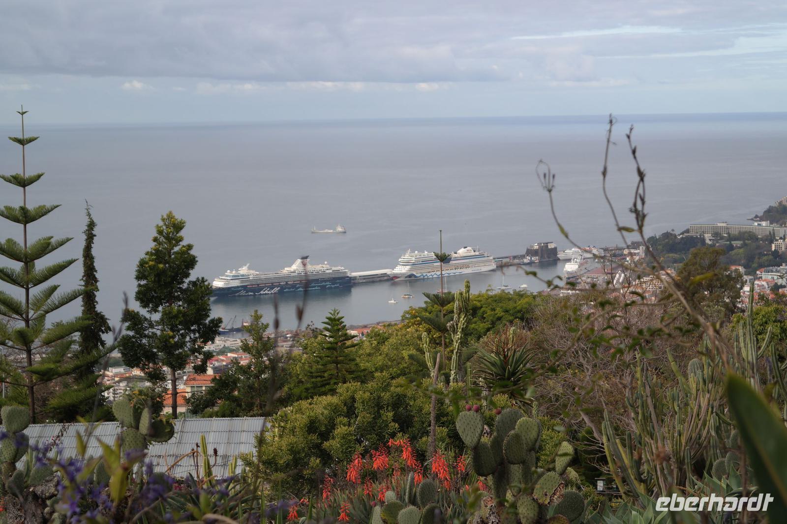 TUI-Mein Schiff und AIDA-Blue im Hafen (Funchal) &ndash; &copy; Detlef May (Eberhardt TRAVEL)