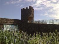 Porto Moniz &ndash; &copy; Lydia Gräbner (Eberhardt TRAVEL)