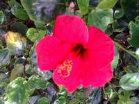 Einzigartige Flora &ndash; &copy; Lydia Gräbner (Eberhardt TRAVEL)