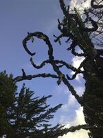 Botanischer Garten von Funchal &ndash; &copy; Lydia Gräbner (Eberhardt TRAVEL)